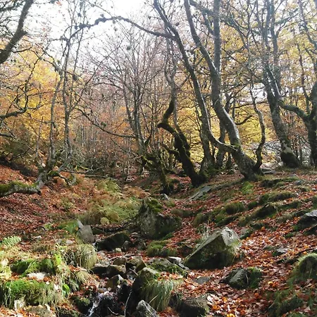 Apartment Atico En Con Todas Comodidades