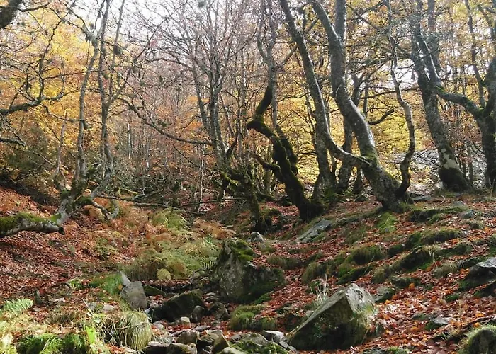 Apartamento ático En Con Todas Comodidades
